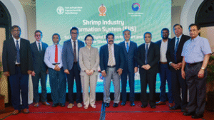 FAO helps Sri Lanka launch its first digital shrimp platform